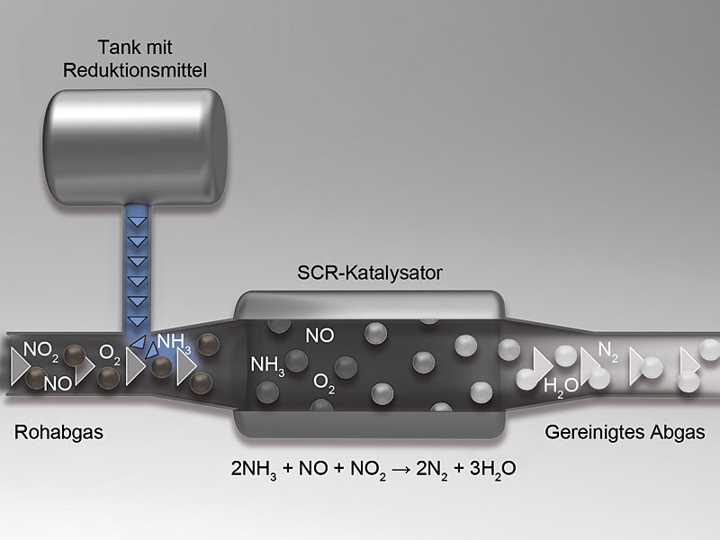 Wie man apcalis sx kauft