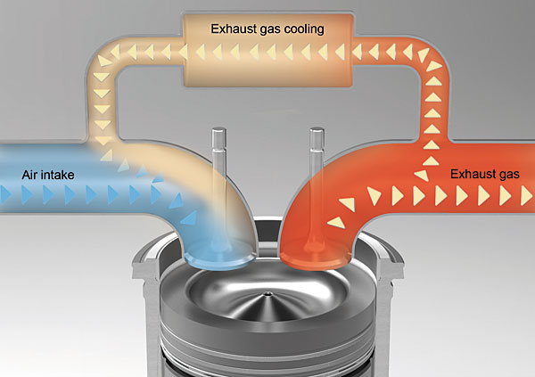 Exhaust gas recirculation new arrivals