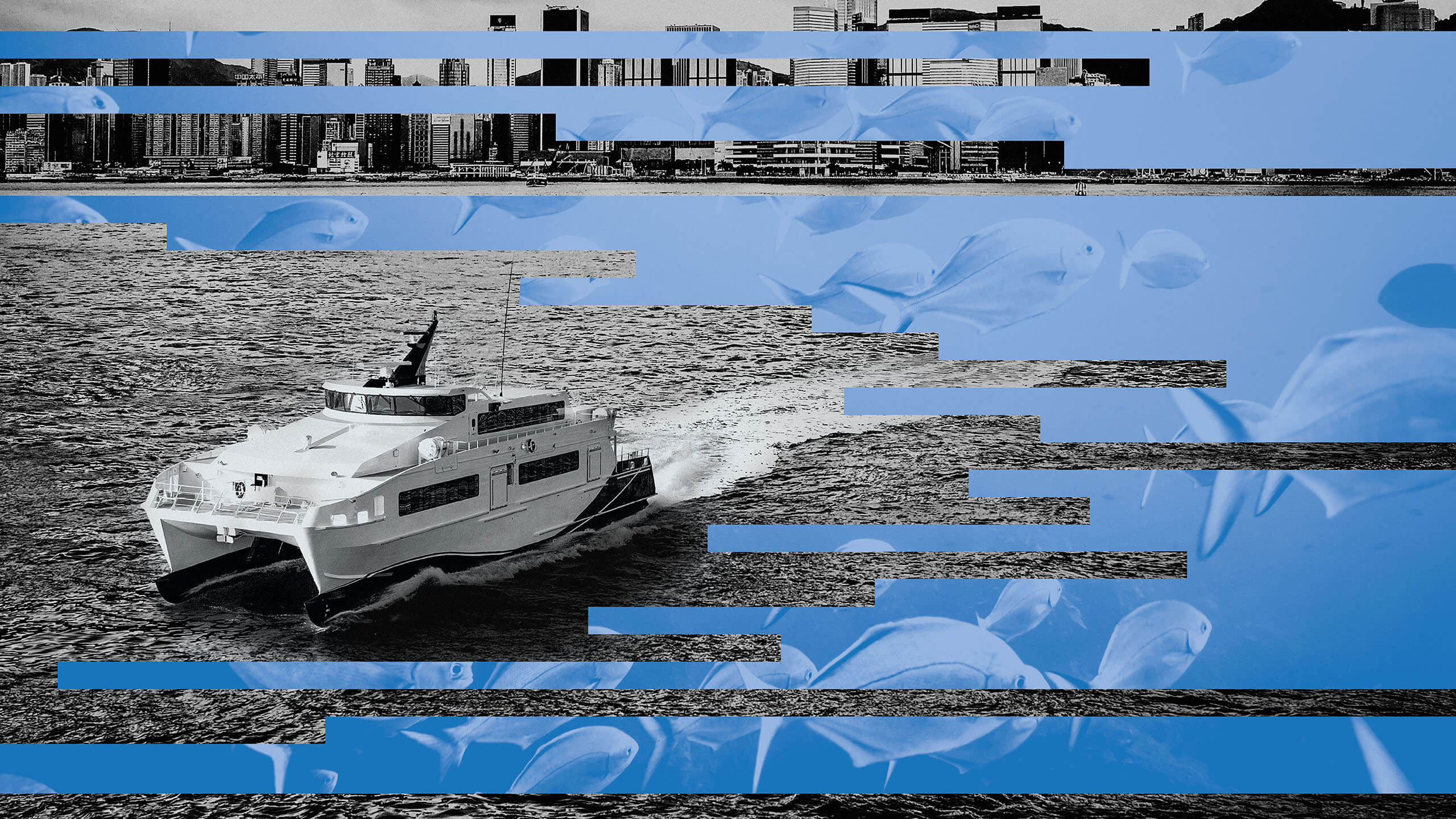 Commercial Marine Solutions