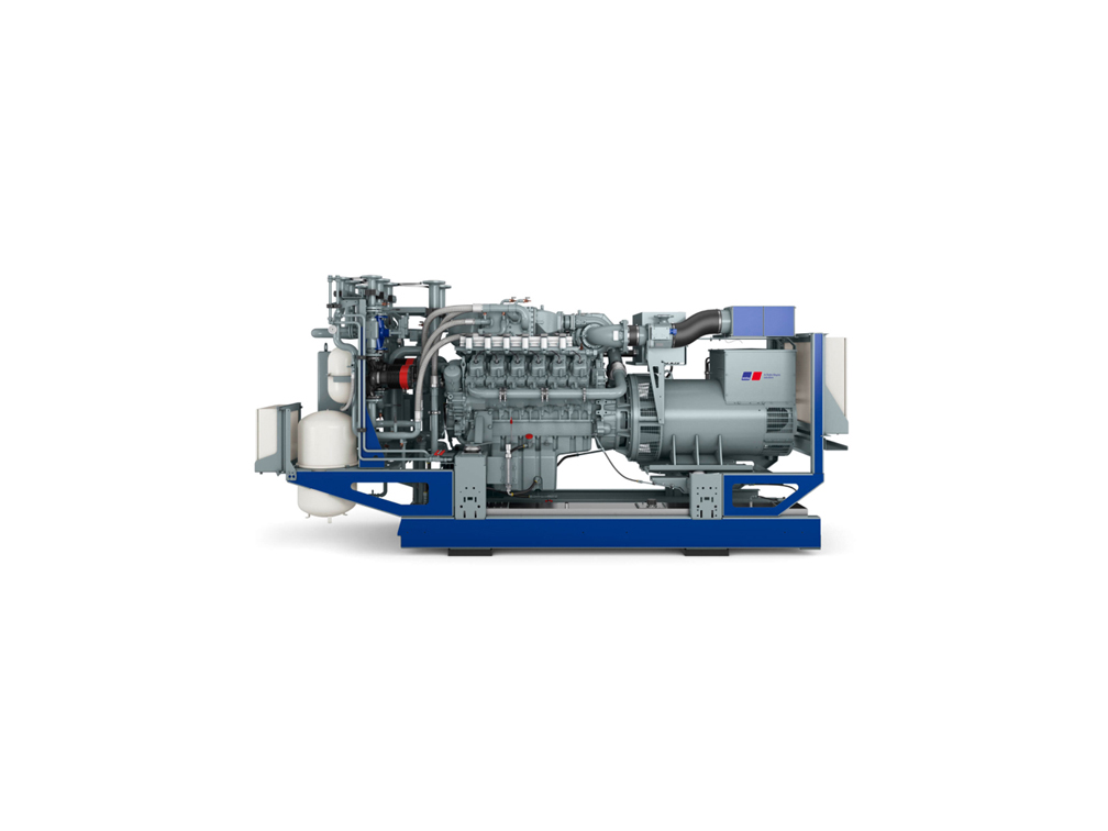 problem from now on coil Biogas Generator Sets